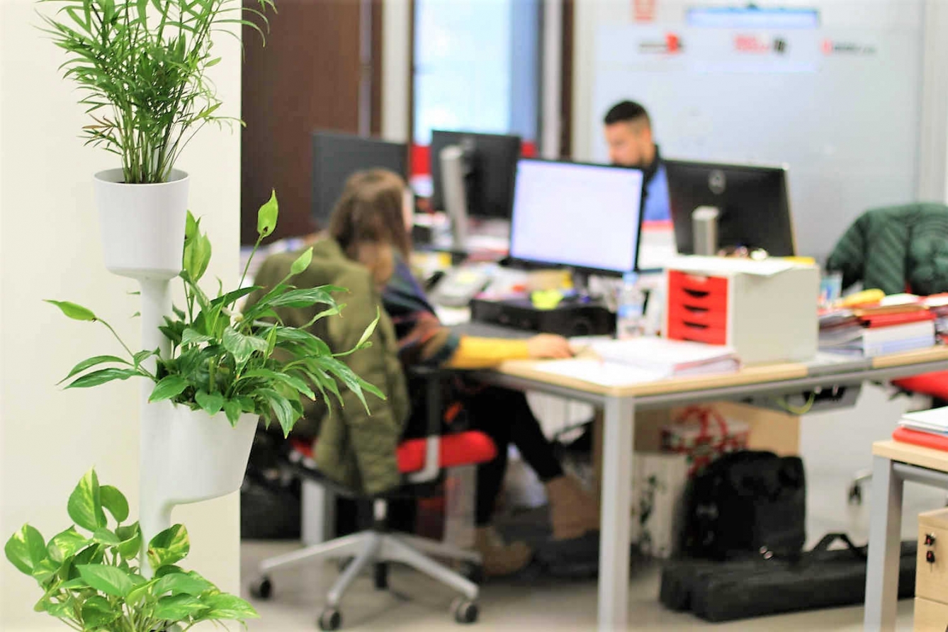 Imagen-noticia-Les plantes, el nou Mobiliari d'oficines