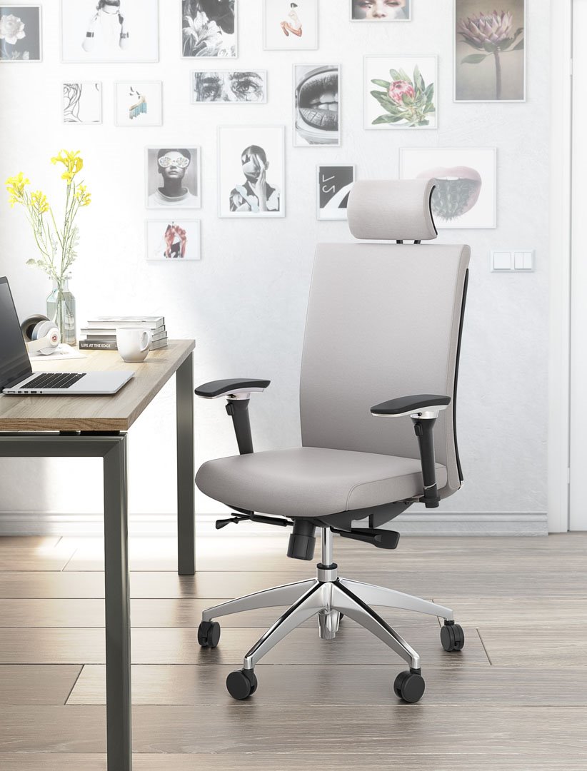 Imagen-Cadira d'oficina model Aro-493